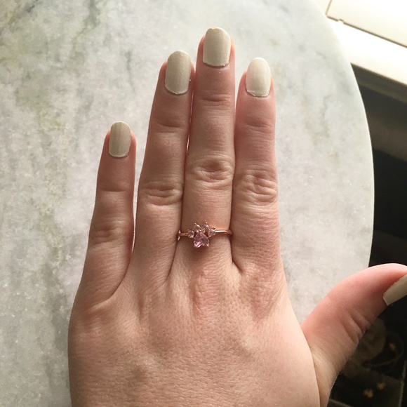 Sterling Silver Paw Print Stone Rose Gold  Ring - Picture 2 of 7
